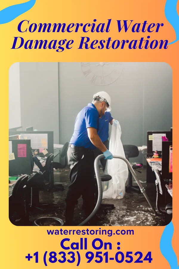 Commercial Water Damage Restoration in Burke Centre, VA