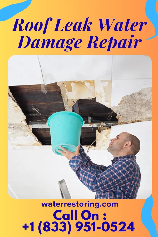 Roof Leak Water Damage Repair in Burke Centre, VA
