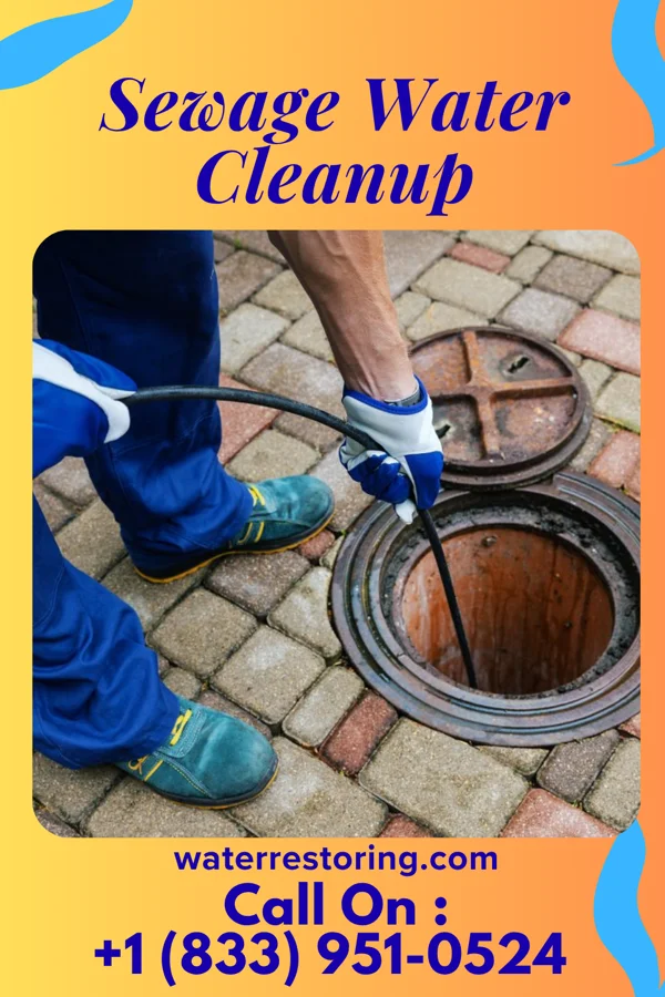 Sewage Water Cleanup in Burke Centre, VA