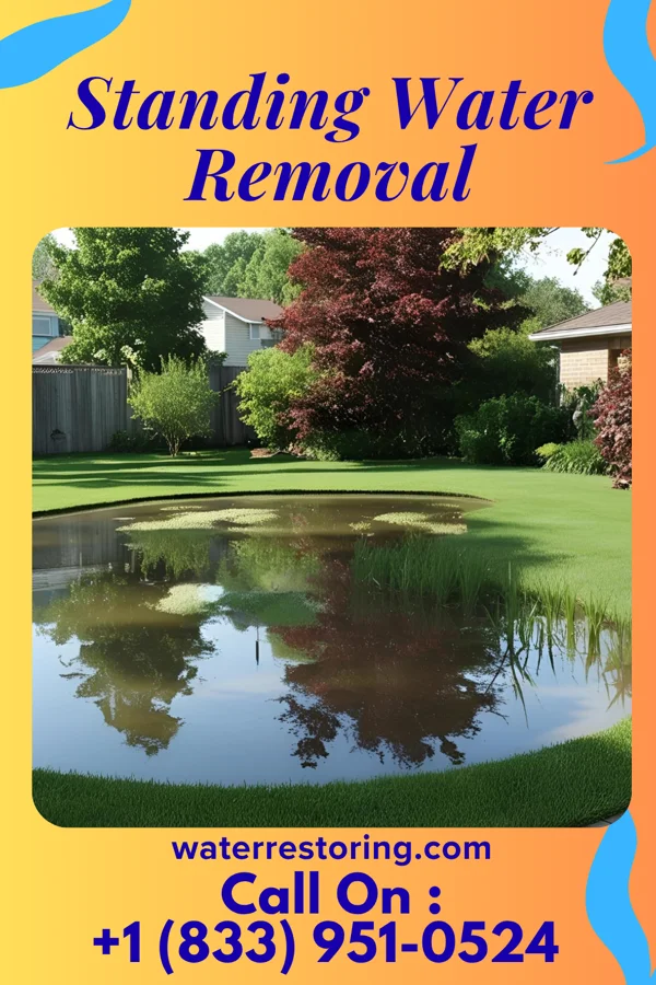 Standing Water Removal in Burke Centre, VA